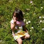 Little Lady Collar Dress