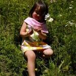 Little Lady Collar Dress